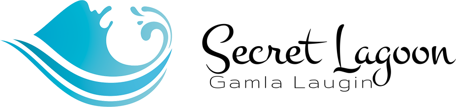Webflow logo 1
